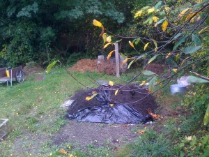 See? Piles of compost.