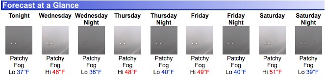 Seriously, this is from NOAA's site. It's been like this for a week or so.